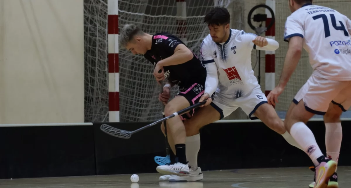 zdjęcia: Agata Fojut