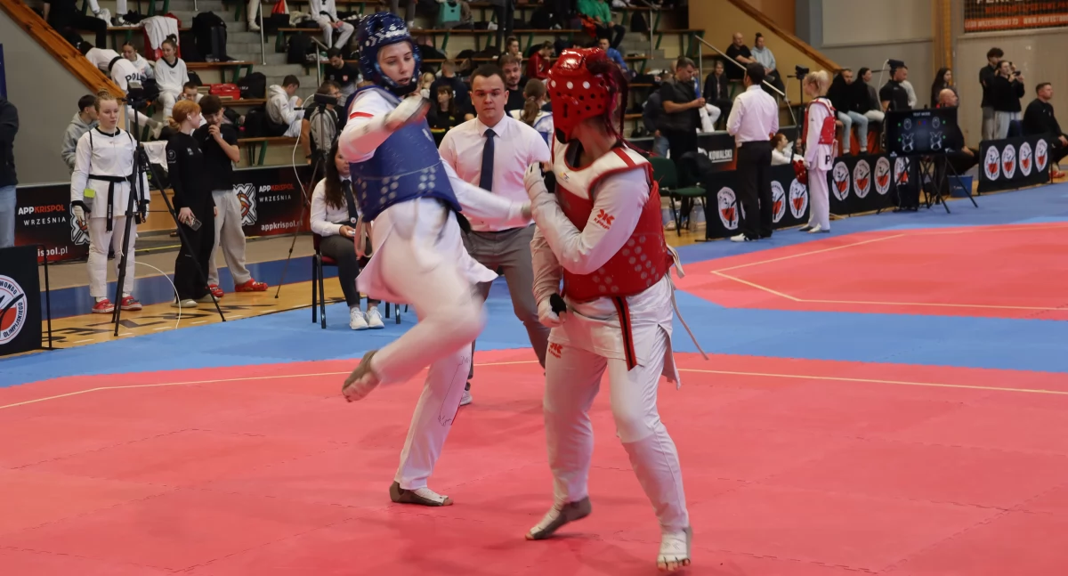 Taekwondo olimpijskie, taekwondo olimpijskim Trzynaście medali siedem - zdjęcie, fotografia