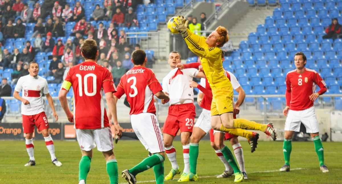 zdjęcia: Piotr Skrzypek - 15.11.2011