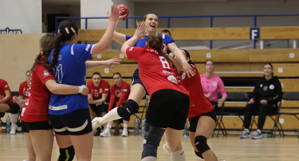 zdjęcia: Elżbieta Skowron