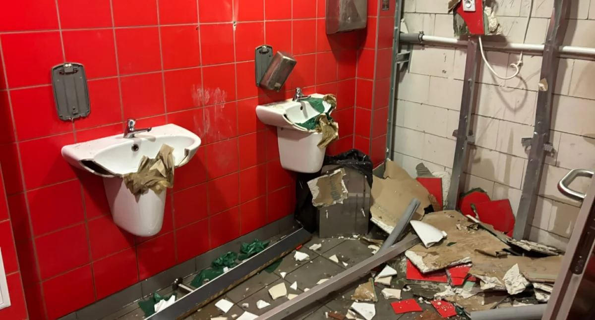 zdjęcia autorstwa Bartłomieja Derdzikowskiego 