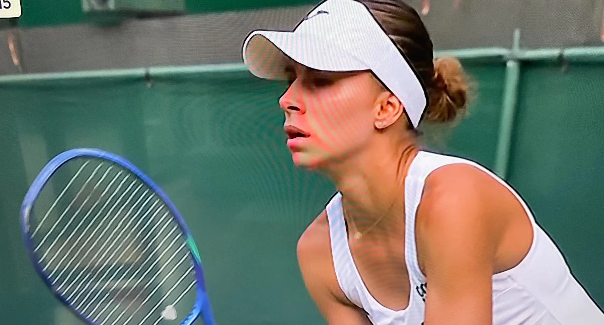 zdjęcie: screen Polsat Sport1