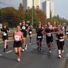 zdjęcie nr 270
