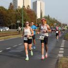 zdjęcie nr 172