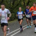 zdjęcie nr 136