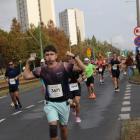 zdjęcie nr 243