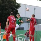 zdjęcie nr 14