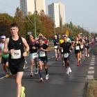 zdjęcie nr 103