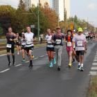 zdjęcie nr 213