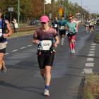 zdjęcie nr 173