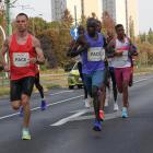 zdjęcie nr 10