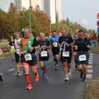 zdjęcie nr 235