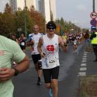 zdjęcie nr 222