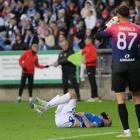 zdjęcie nr 15