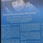 Fotka nr 1 z 2