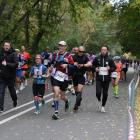 zdjęcie nr 176