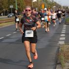 zdjęcie nr 169