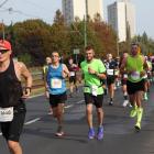 zdjęcie nr 142