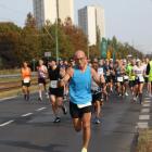 zdjęcie nr 140