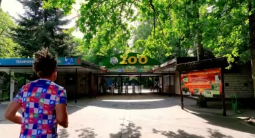 Pobiegną przez ZOO, Wartostradę i murawę stadionu. Zupełnie nowa trasa LOTTO 24. Poznań Maratonu 